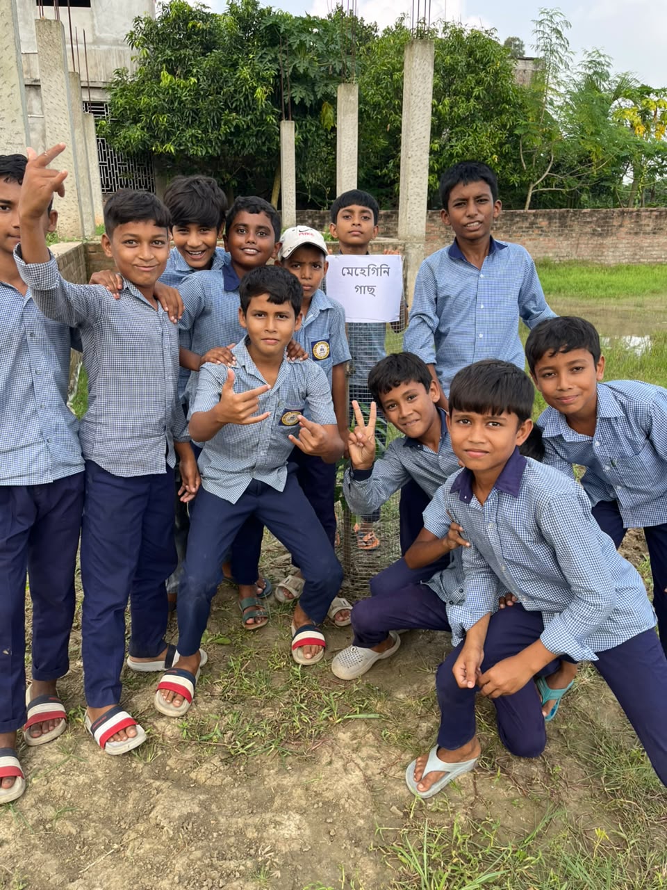 Boys in uniform beside a newly planted mahogany sapling