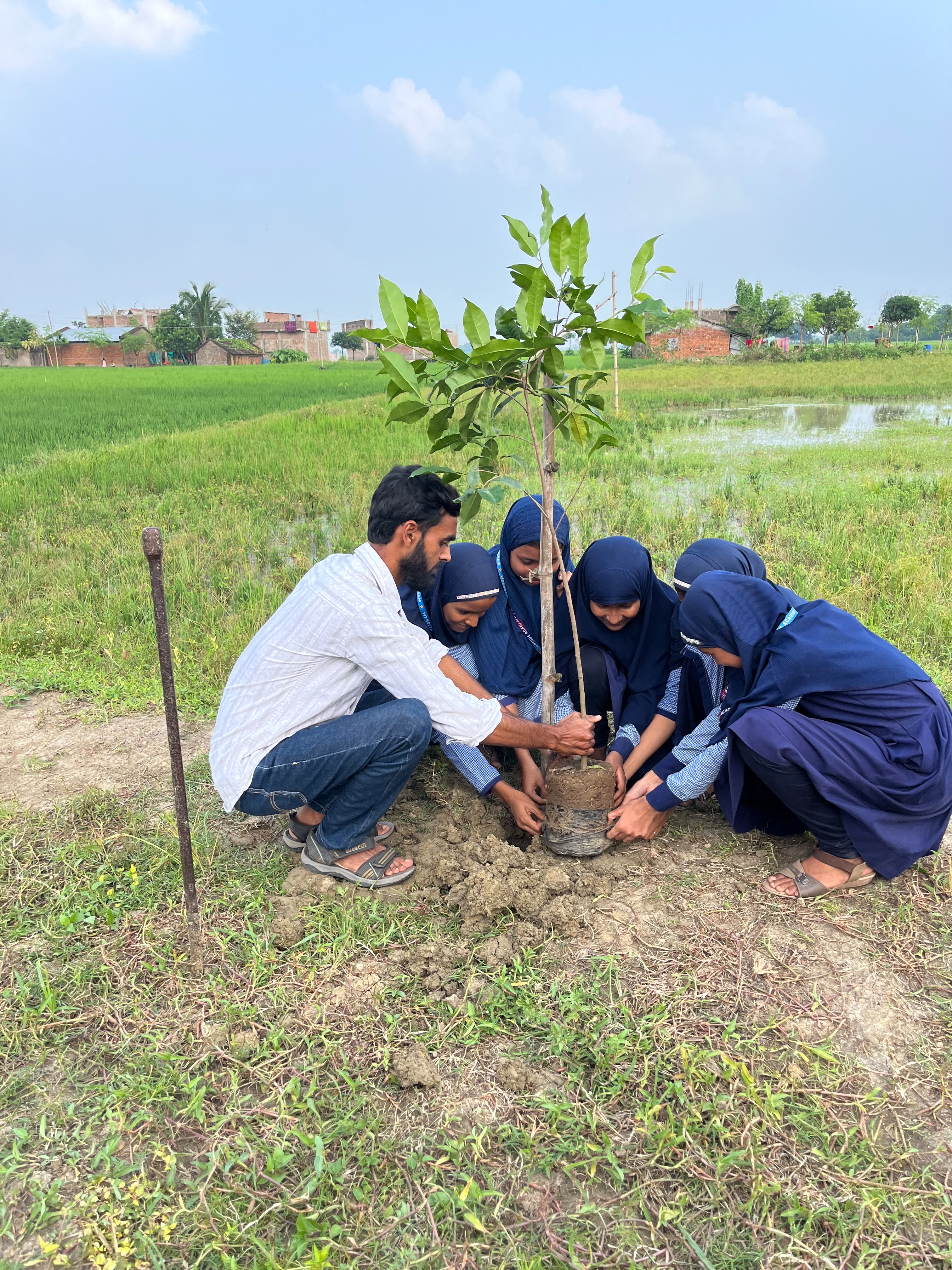 Girls and a teacher planting a sapling at the edge of a field